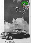 Jaguar 1953 223.jpg